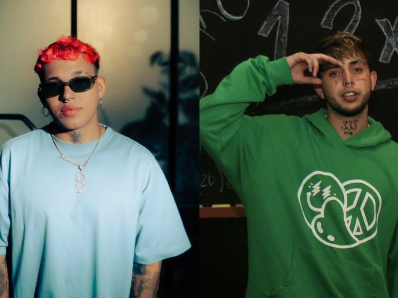 BEELE-Y-DEKKO-800x600