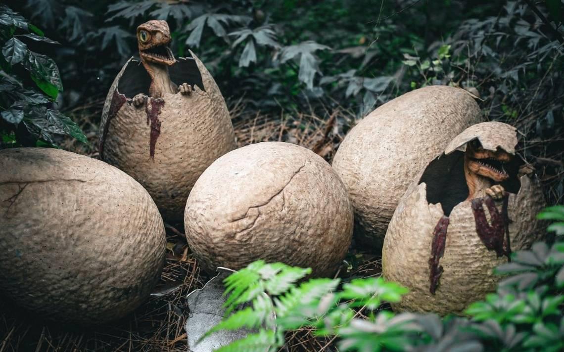 huevos dinosaurio