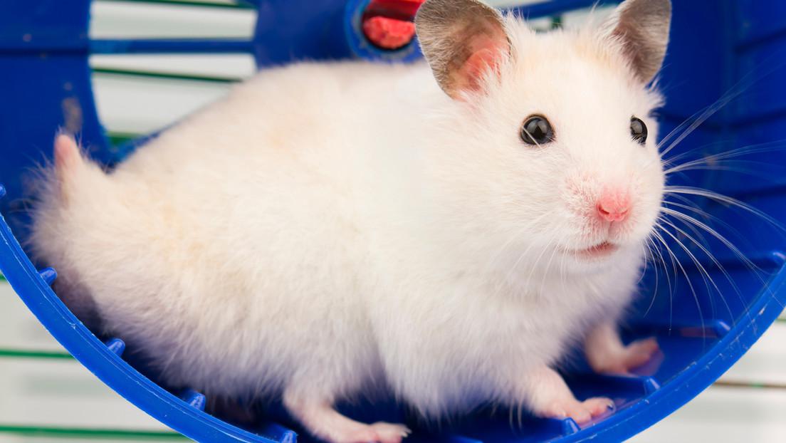 6666dff8e9ff7159534b8c48