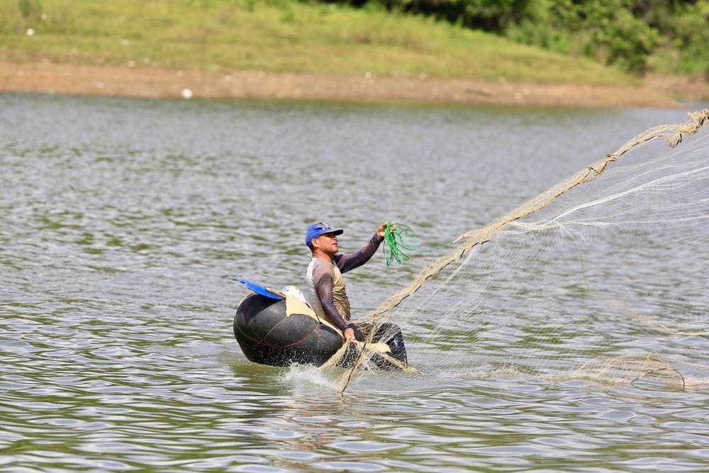 Prohiben-pesca-de-varias-especies-de-peces--scaled