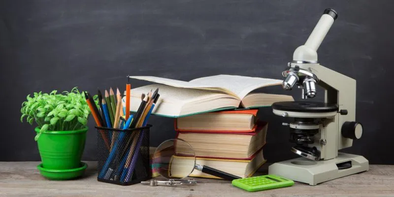 educacion-concepto-e1536242687832