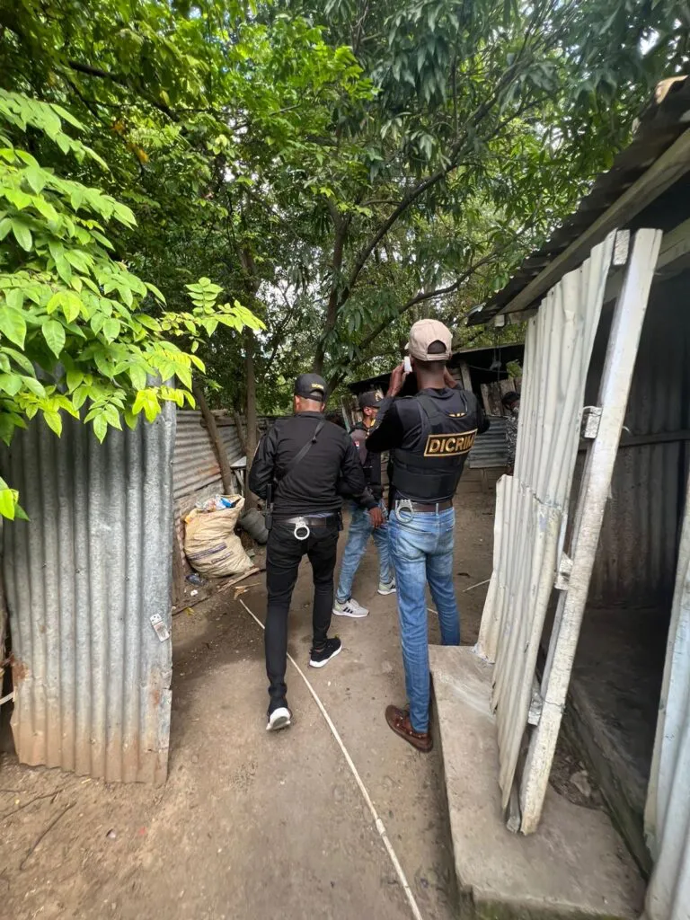 c28a0f61-6b80-45c9-8fb2-194a0cc07b4a-768x1024