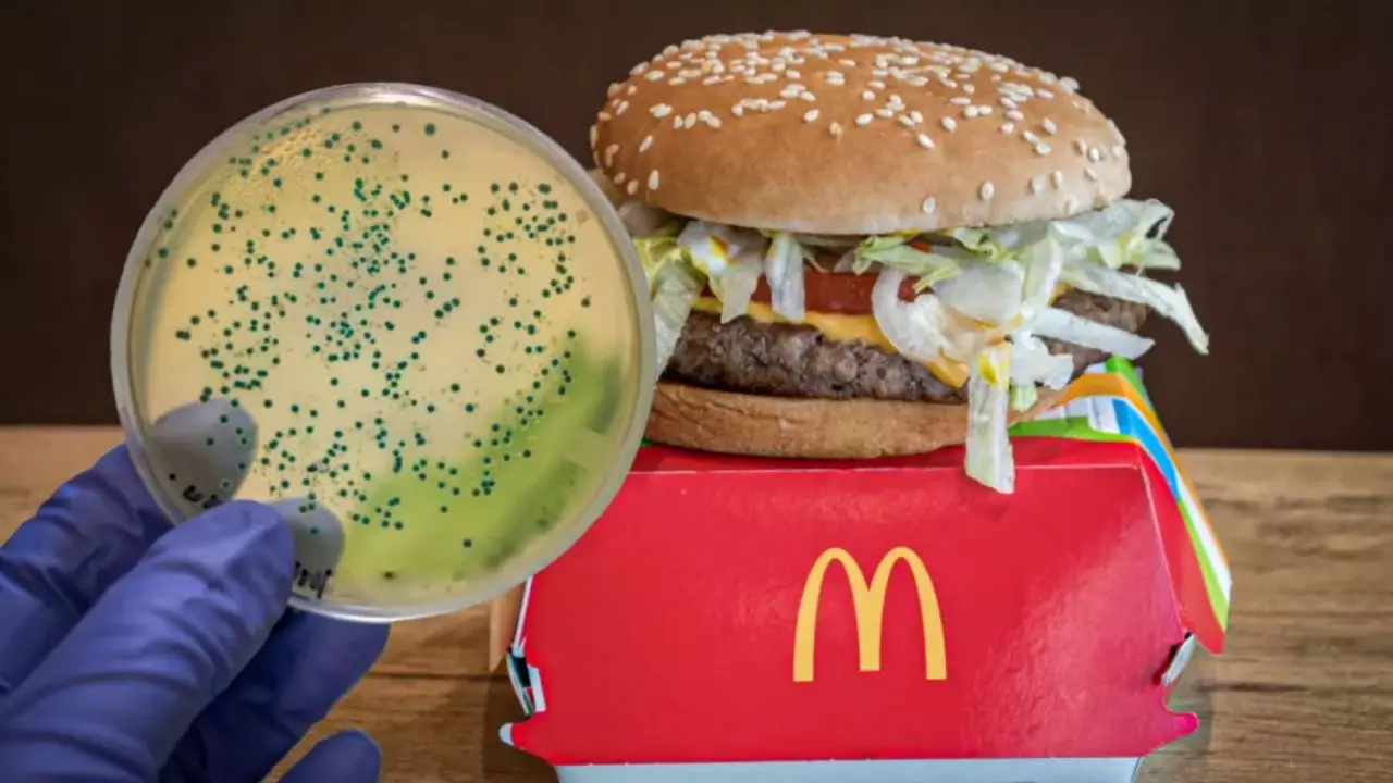 VERONICA-YOUTUBE-NUEVA-2024-10-23T070402.514