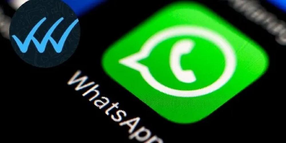 miniatura_youtube_x7x_x7x_crop1644597800141.jpg_2024461655