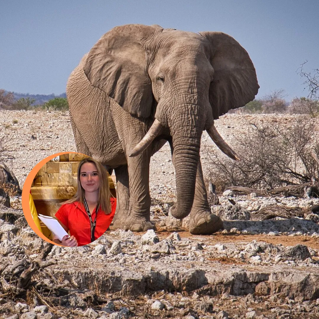 Post para Instagram Turismo Viaje fotografia - 2026-02-02T165221.883