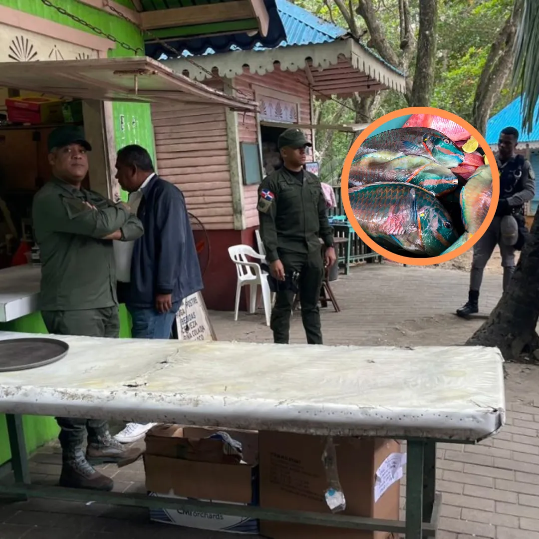 Post para Instagram Turismo Viaje fotografia - 2025-01-13T154520.376