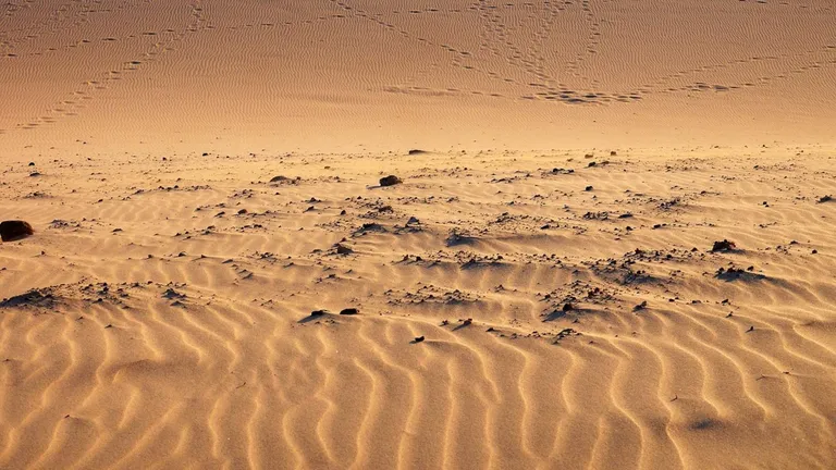 preven-lluvias-desierto-sahara