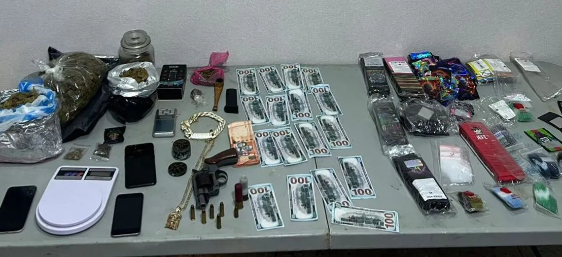 Desmantelan-centro-de-acopio-de-drogas-y-armas-ilegales-en-Mendoza-SDE-1140x521