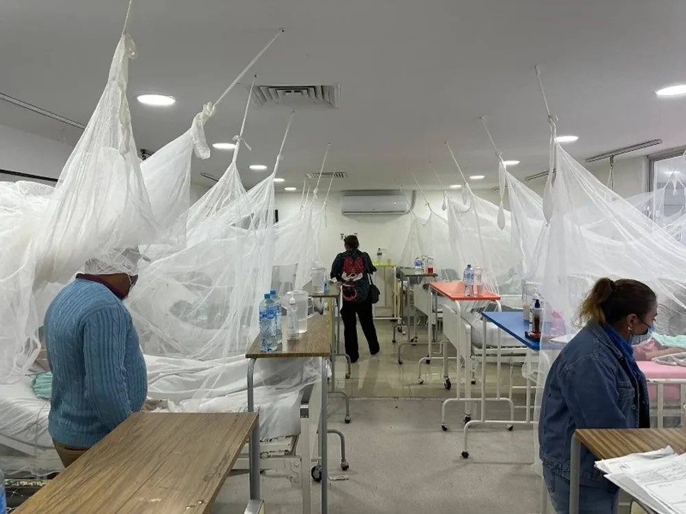 hnd-webinarios-dengue-final