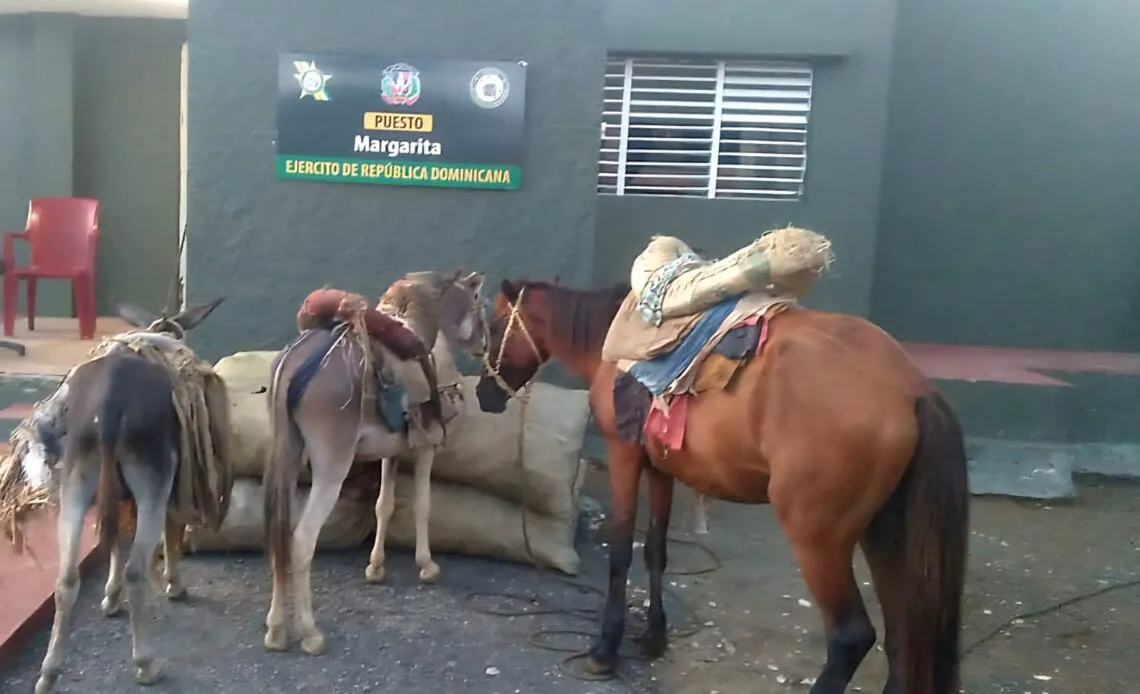 Burros-cargadores-1140x694