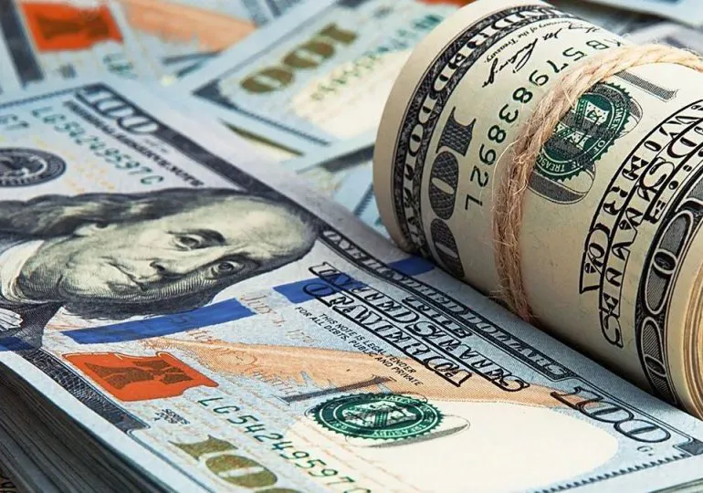 Dolares1-770x540