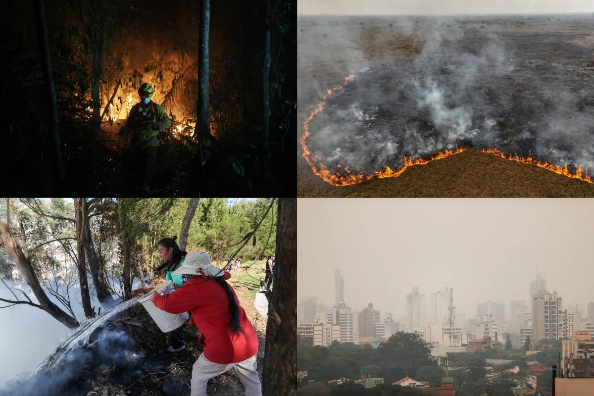 Incendios-1-e1726724888201