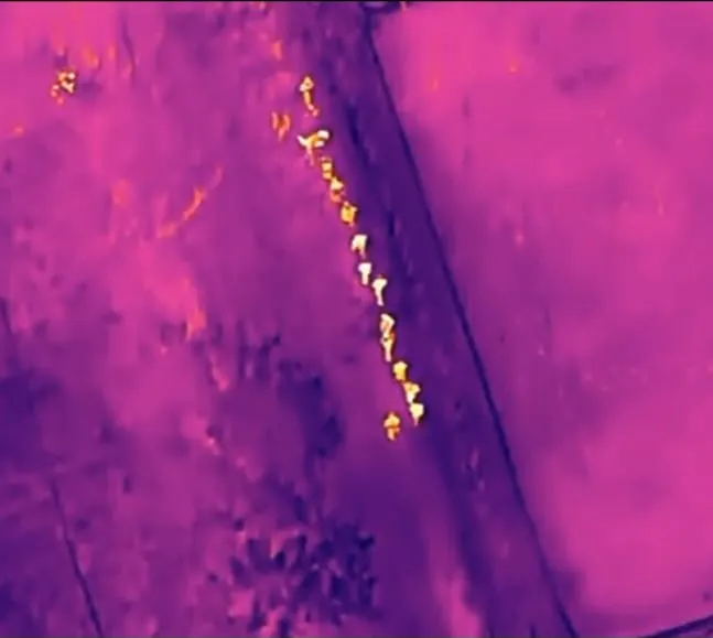 WhatsApp-Image-2026-01-11-at-8.53.00-AM