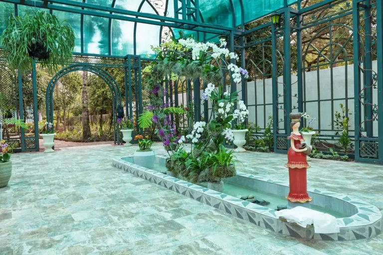 WhatsApp-Image-2025-04-24-at-11.05.42-AM-768x512