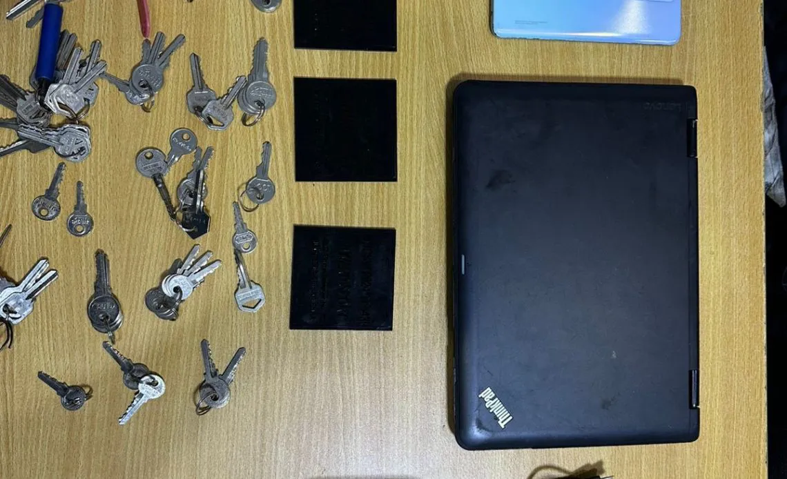 Delicuente-de-La-Romana-1140x694