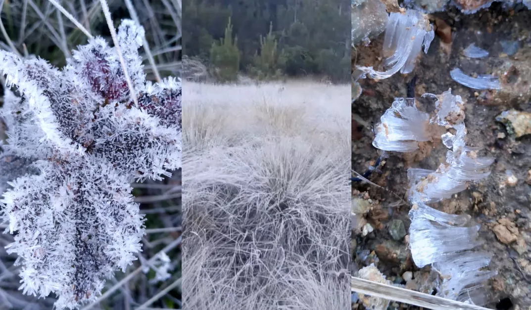 Collage-2025-12-27T102754.123