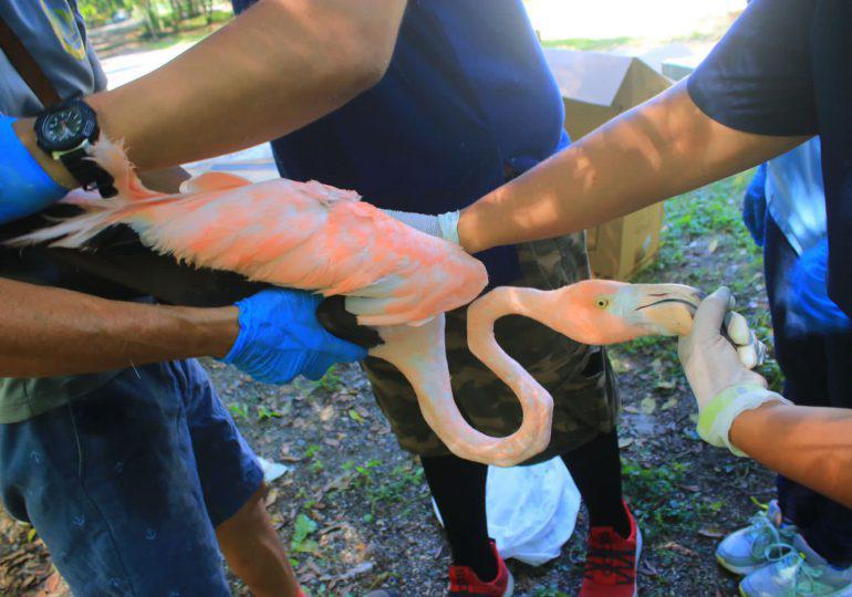 6a4170c4-4f1c-4ac0-846b-1fb6d9a57547-770x540-1