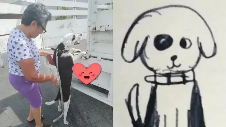 Perro