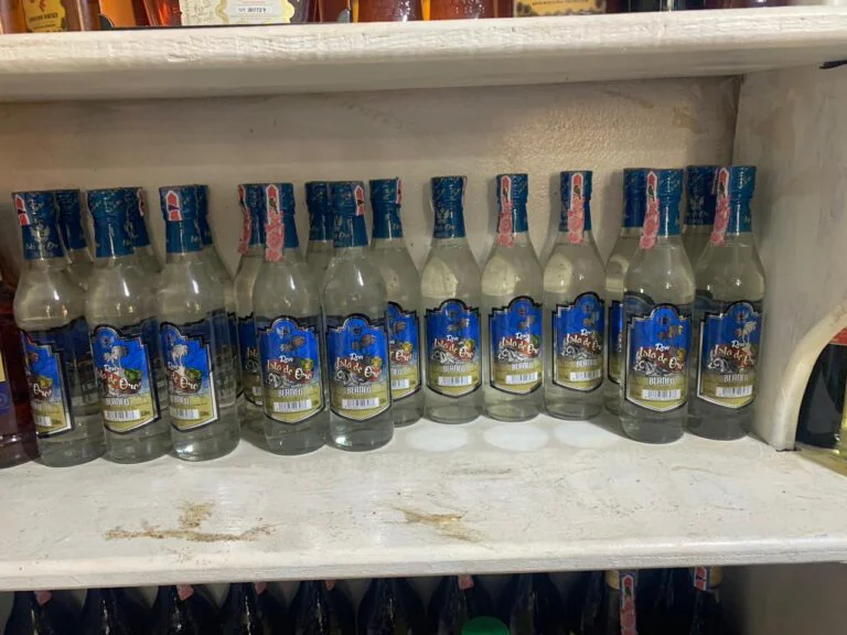 WhatsApp-Image-2026-03-28-at-4.43.56-PM-1-768x576