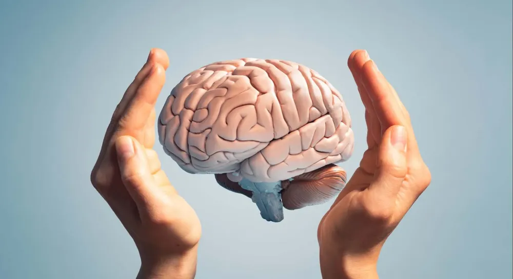 cerebro