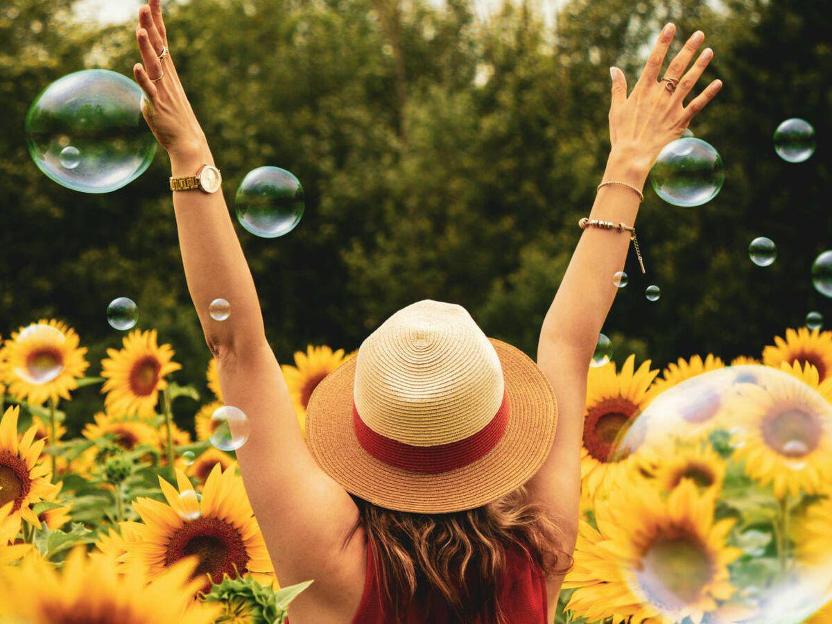 f.elconfidencial.com_original_cdd_7e6_380_cdd7e6380b1473315fcba0f520f163ec