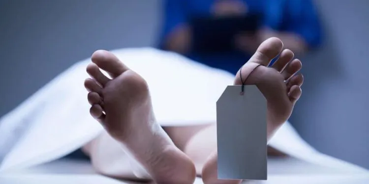 muerto-645b9fe3-focus-0-0-896-504-750x375