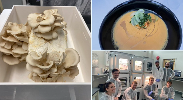 c2725d_af60fd7964d24dbbb36bce4ce510aa41~mv2 (1)