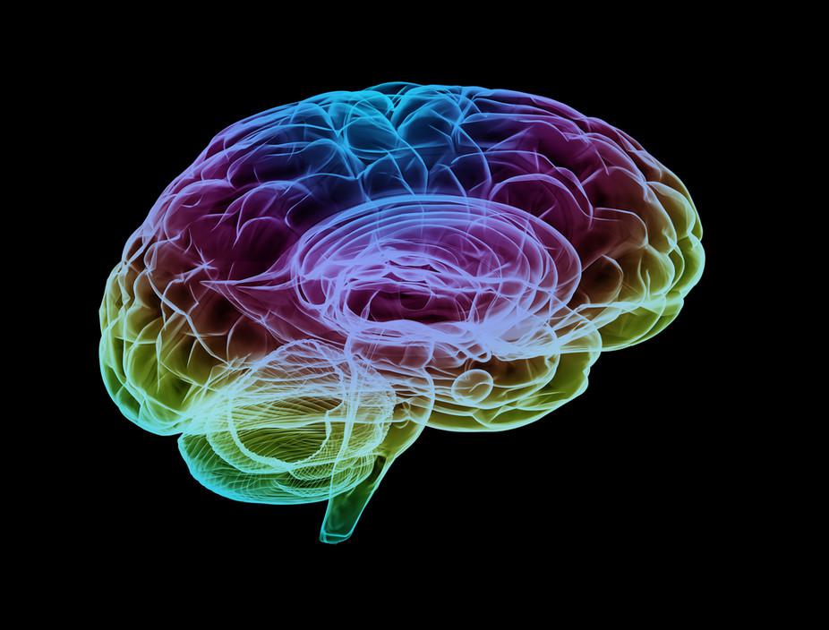 cerebro.bueno