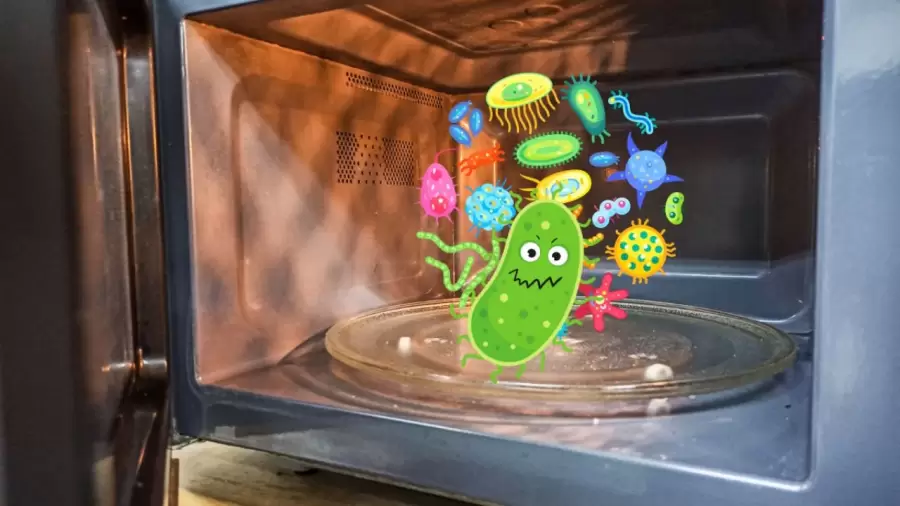 66c1409478530__900x900