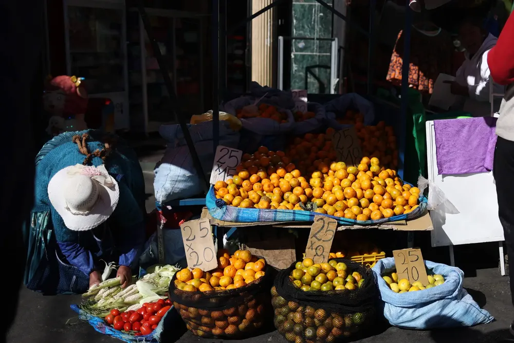 Bolivia-economia1