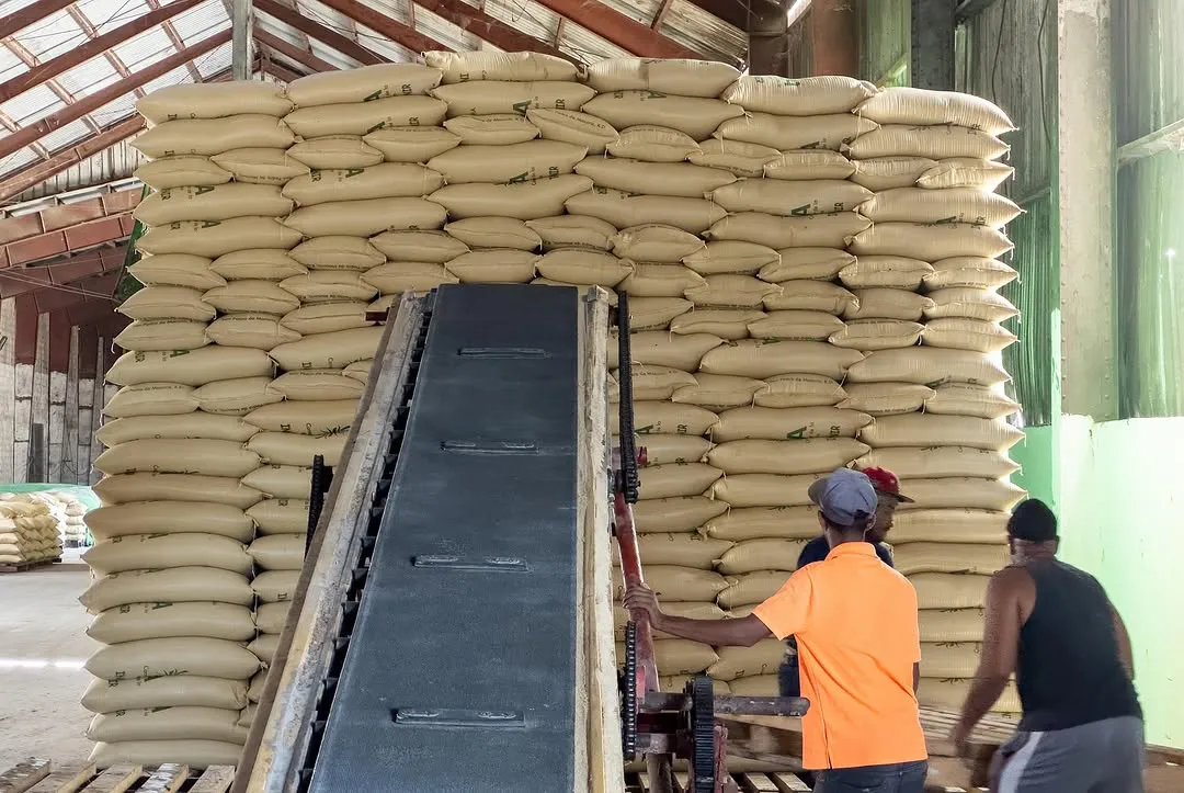 ¡Compromiso con el progreso! Nuestro director Rafael Burgos Gómez continúa supervisando los avances de la zafra azucarera 2024-2025 en el histórico Ingenio Porvenir, San Pedro de Macorís. Esta importante i (3)