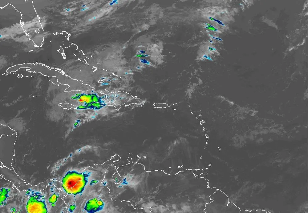 WhatsApp-Image-2026-01-04-at-8.47.16-AM-1000x694