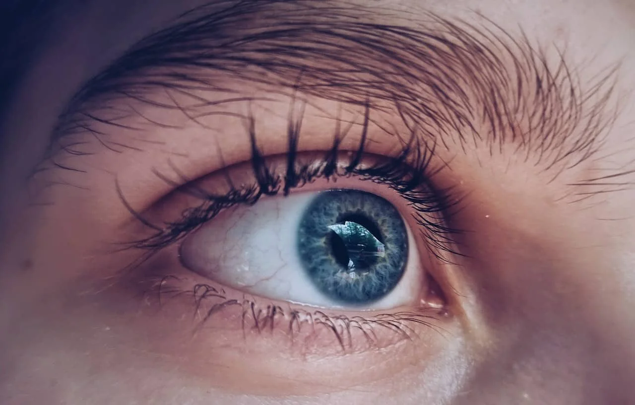 estrcutura-ojos