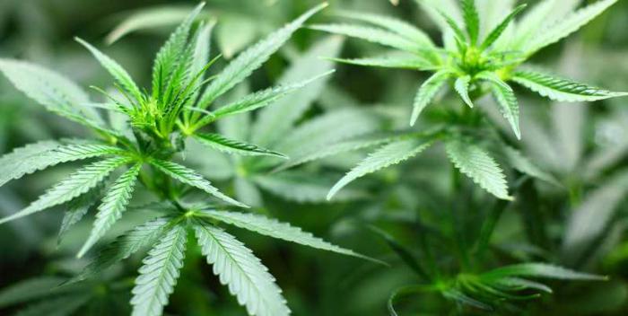 FotoJet-2024-05-16T192555.217