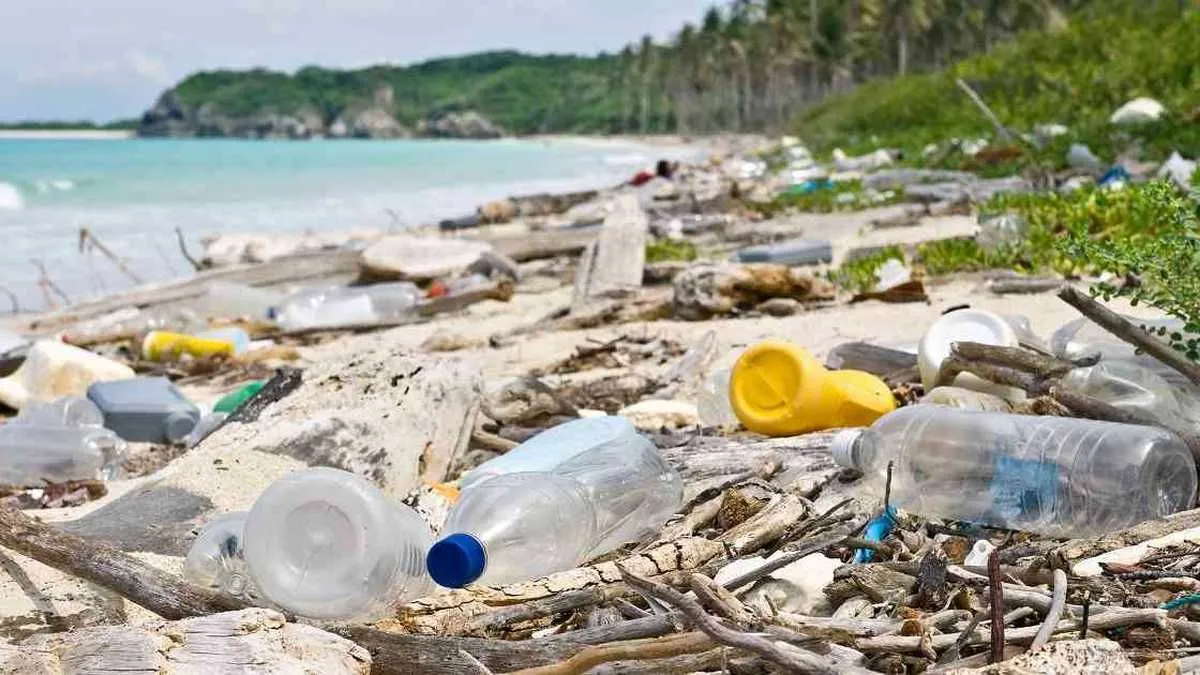 plasticojpg