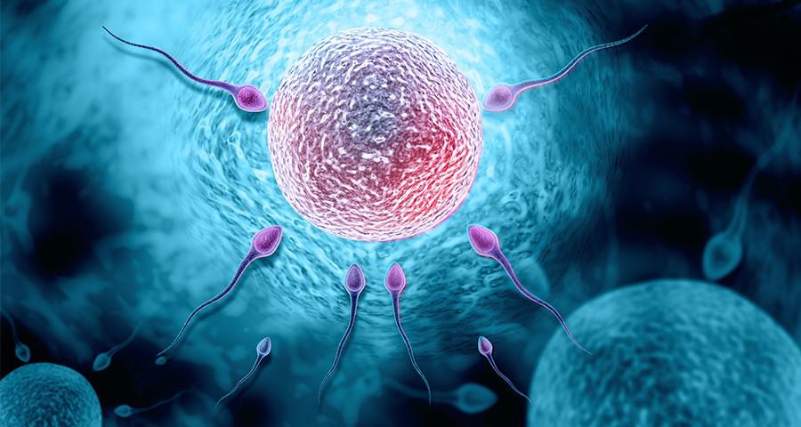 preguntas-fertilidad-900x480-1