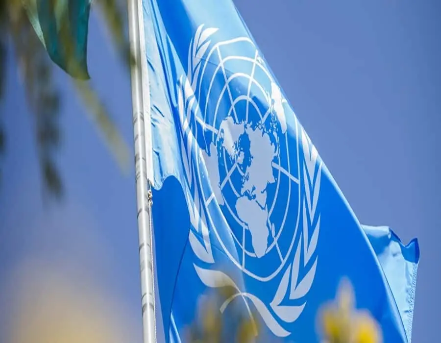 onu700bandera