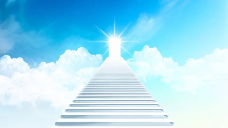 2EC455B1-D579-428C-8433-C8C129E12E30