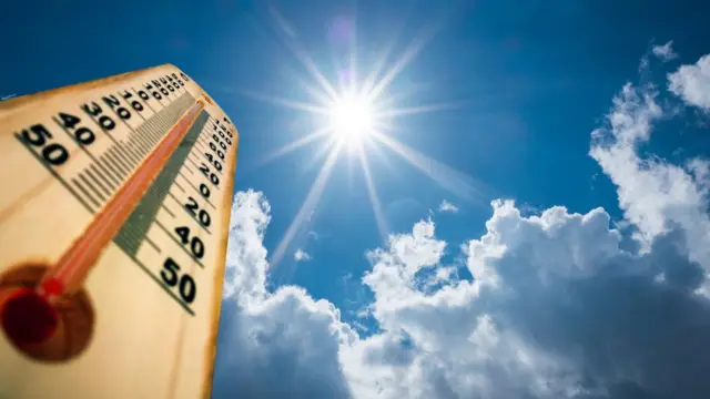 Calor (1)
