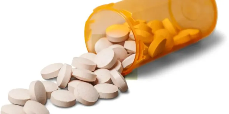 WhatsApp-Image-2025-11-29-at-3.43.34-PM-768x384