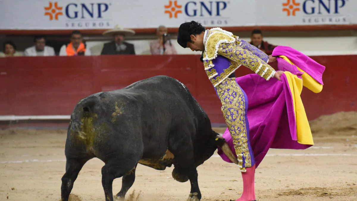 senado-mexicano-aprueba-ley-de-bienestar-animal-sin-prohibir-las-corridas-de-tor-20260930-115835-lpPP-1200x675