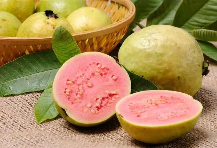guayaba-1_1665195123_760x520