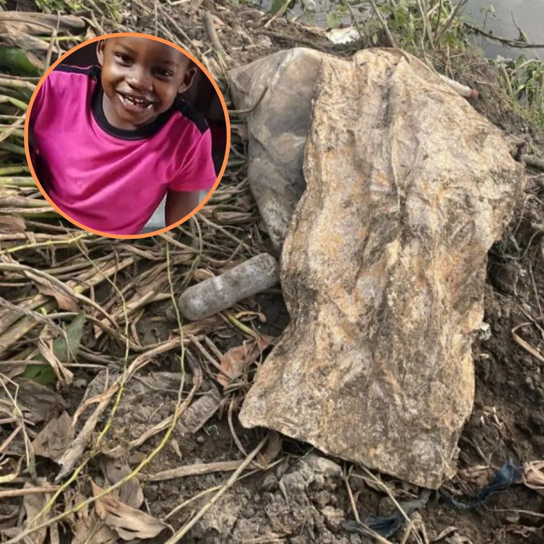 Diseño sin título (22)