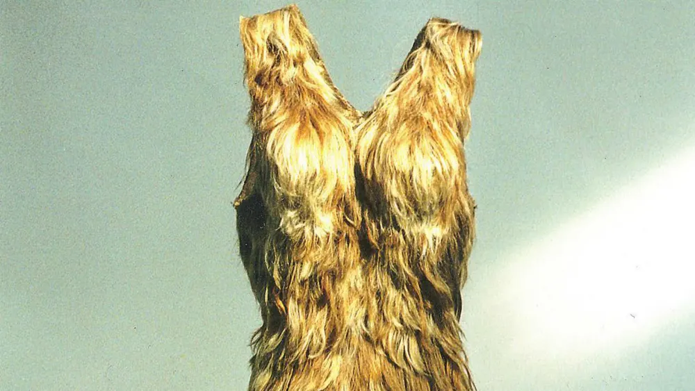 vestido-hecho-de-cabello