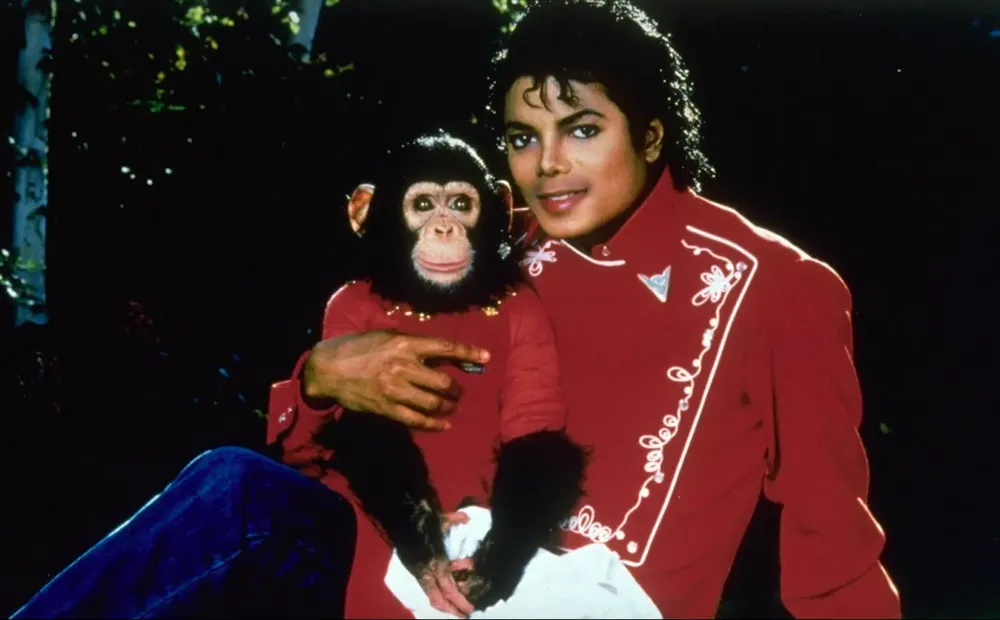 O3A435YTIRCI3DE4VQ7YZ53KVE