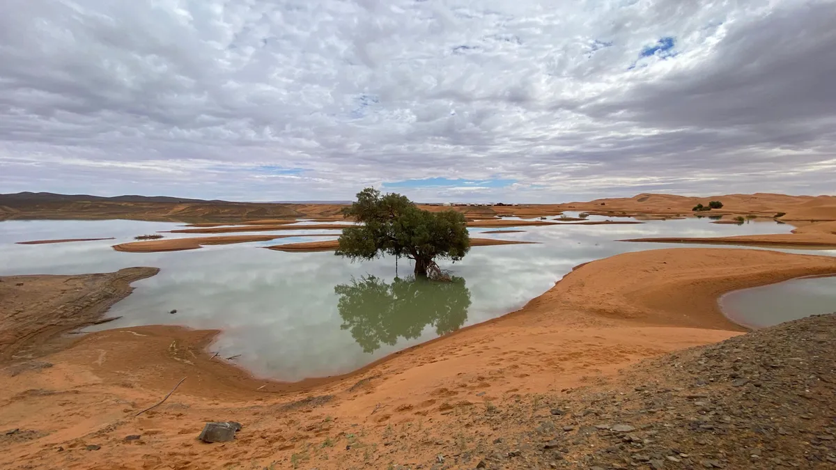 las-inundaciones-en-el-desierto-de-marruecos-resucitan-un-lago-seco-desde-hace-50-anos_157f