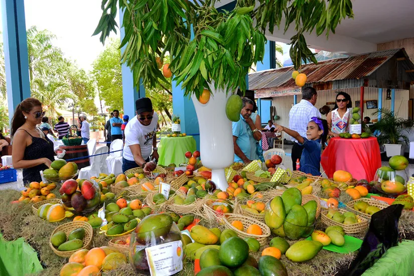 manguillo