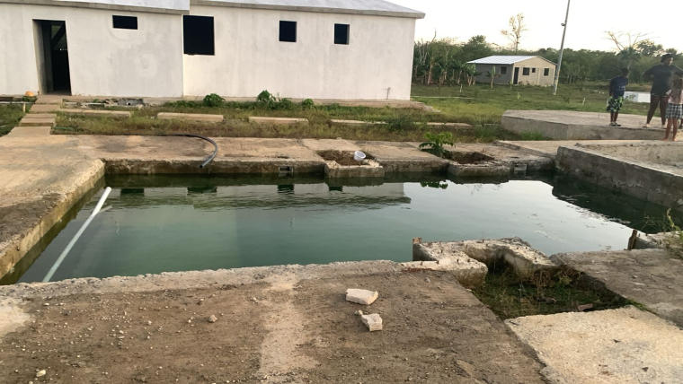 WhatsApp-Image-2024-04-02-at-10.33.28-AM