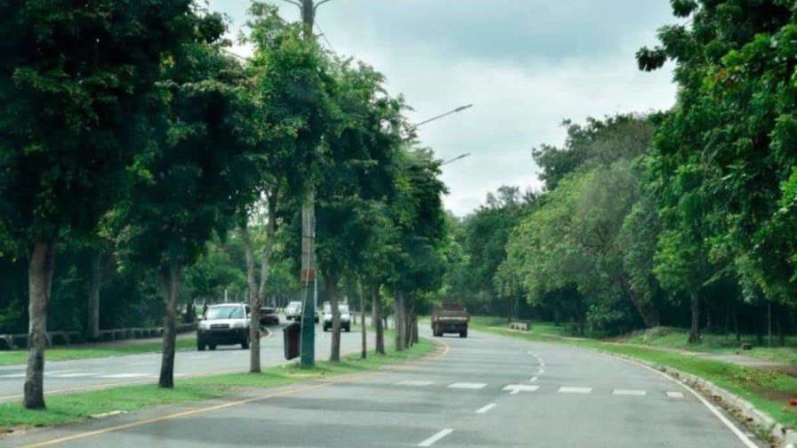 crop-w859-h573-alcaldia-informa-que-no-ha-autorizado-tumbe-de-arboles-en-mirador-sur-focus-0-0-896-504