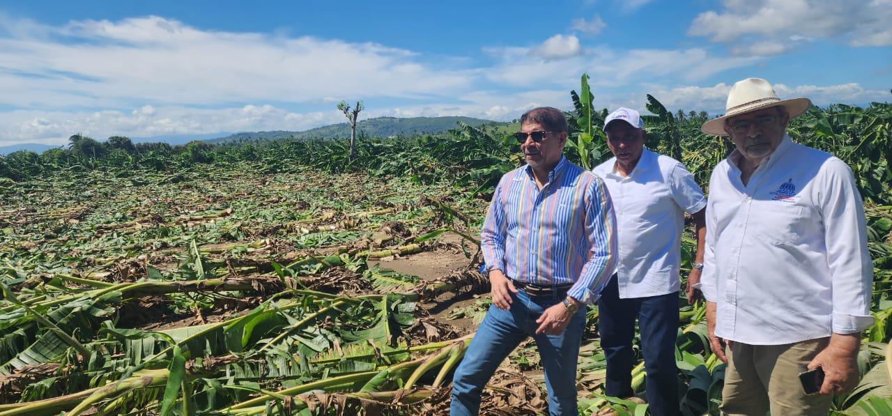 tornado-tumba-platanos